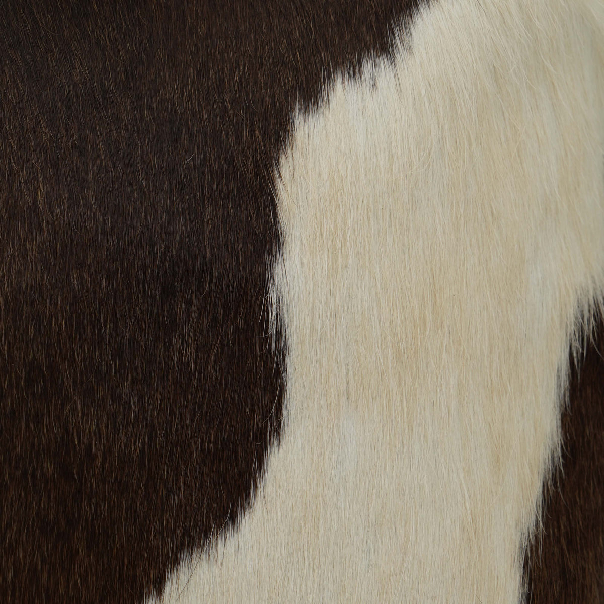 Borsa V°73 BP9VT01C in Cavallino Moro e Bianco