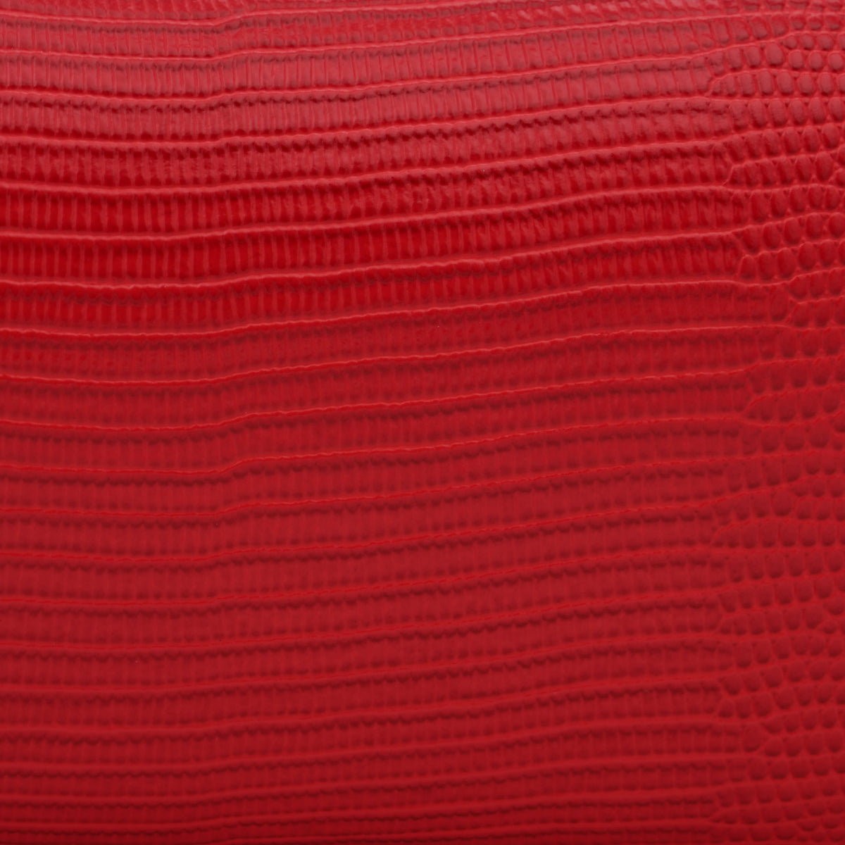 Borsa a Spalla Elisabetta Franchi BS15A66E2 Red Passion Effetto Rettile con Dettagli Oro