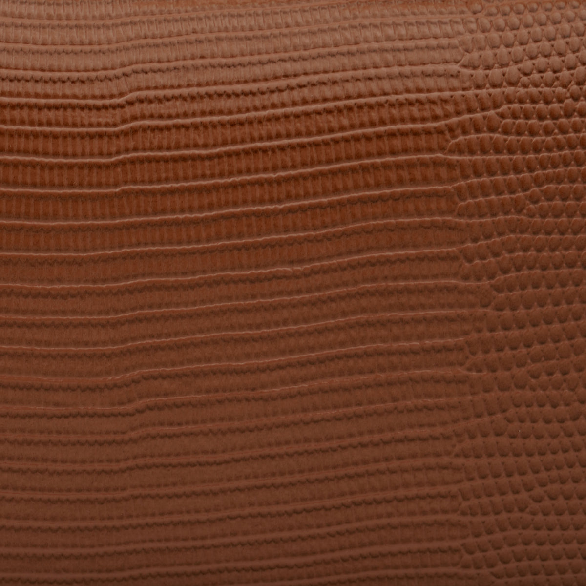 Borsa a Spalla Elisabetta Franchi BS15A66E2 Sigaro Effetto Rettile con Dettagli Oro