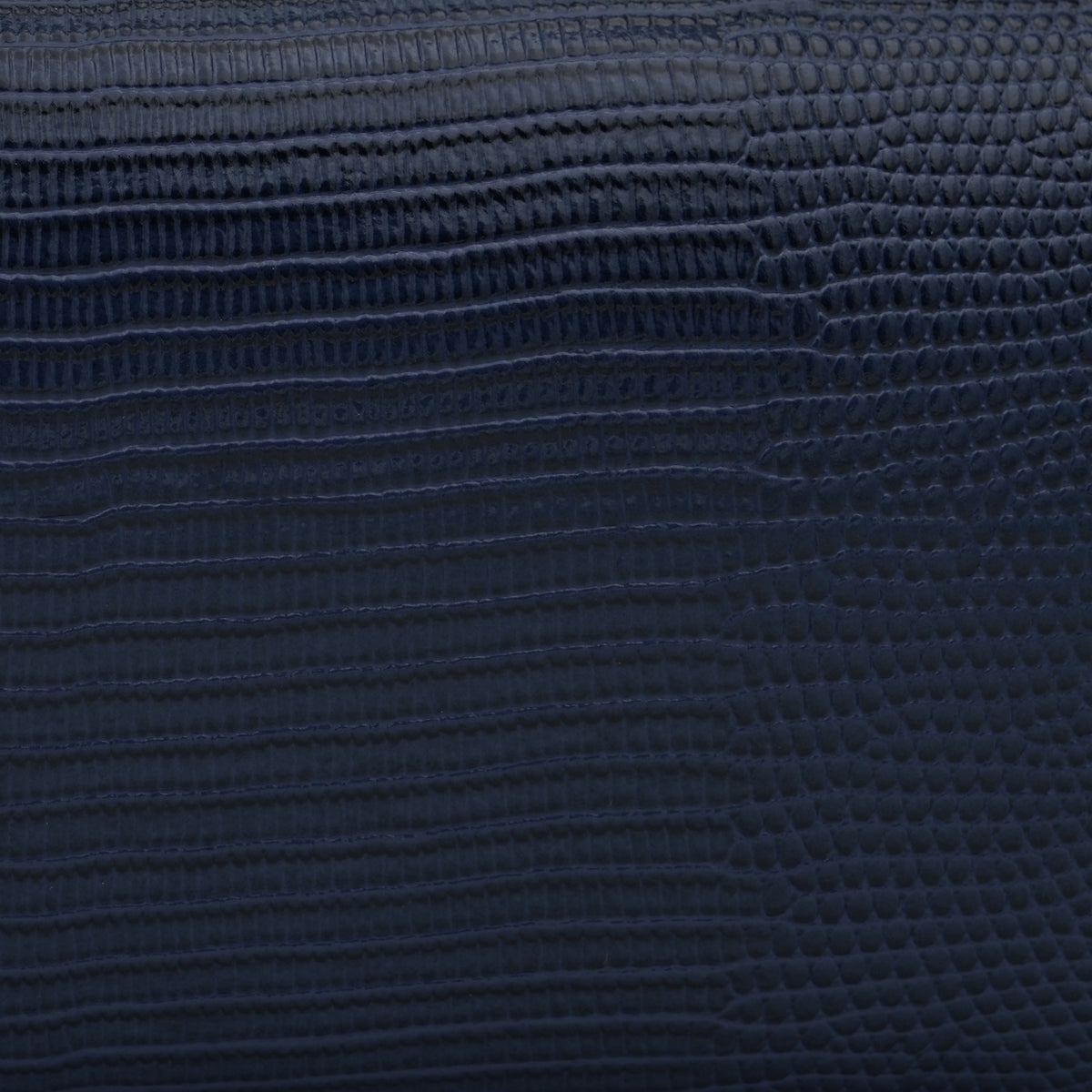 Borsa a Spalla Elisabetta Franchi BS15A66E2 Blu Notte Effetto Rettile con Dettagli Oro